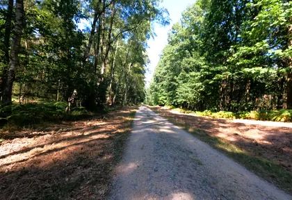 Streckenfoto bei Kilometer 14
