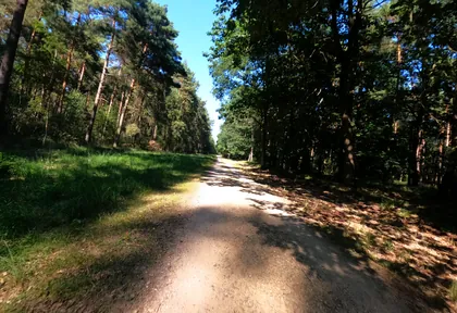 Streckenfoto bei Kilometer 15