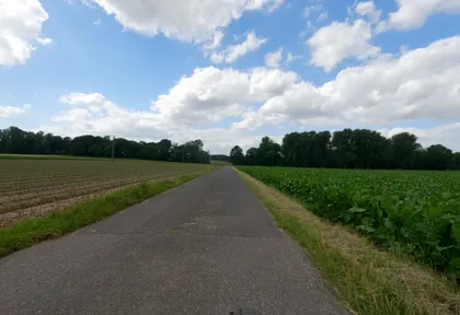 Streckenfoto bei Kilometer 1,6