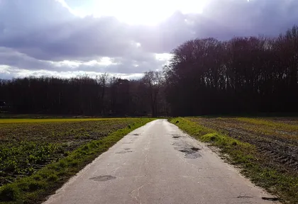 Streckenfoto bei Kilometer 25,2