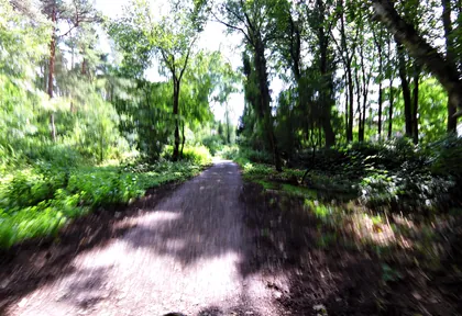 Streckenfoto bei Kilometer 13,2