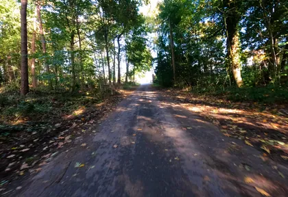Streckenfoto bei Kilometer 10