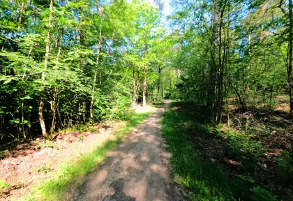 Routefoto bij kilometer 7,6