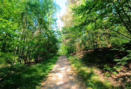 Routefoto bij kilometer 6,8
