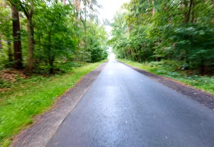 Streckenfoto bei Kilometer 3,8