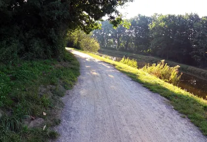Streckenfoto der Route Sassenberg, Wald und Allee