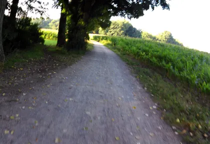 Streckenfoto bei Kilometer 35,8