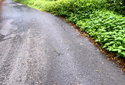 Streckenfoto bei Kilometer 33,4