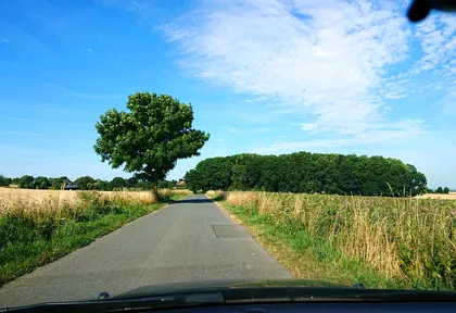 Streckenfoto bei Kilometer 14,1