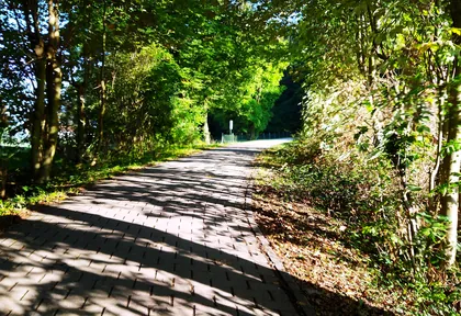 Streckenfoto bei Kilometer 31,6