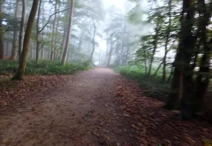 Streckenfoto bei Kilometer 29,4