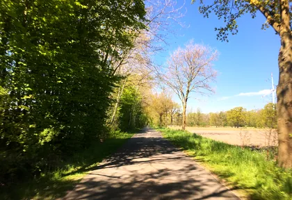Streckenfoto bei Kilometer 4,1