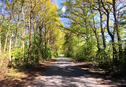 Streckenfoto der Route Steinfurt, Mühlen und vier Brücken