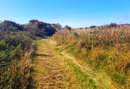 Route photo at kilometre 17.5