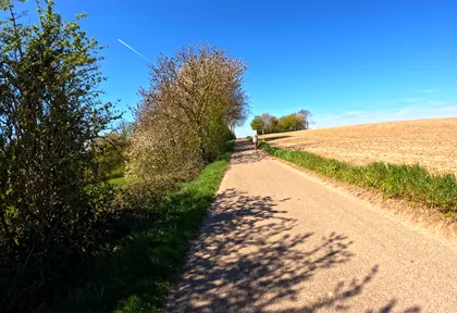 Routefoto bij kilometer 10,4