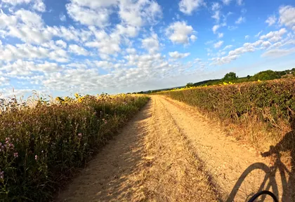 Routefoto bij kilometer 14,6