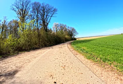 Routefoto bij kilometer 11,2