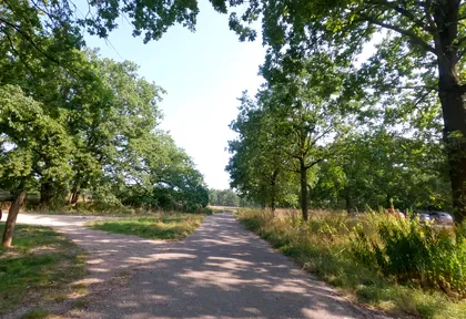 Routefoto van Venlo, Steyl en Baarlo — vier bruggen