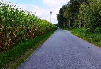 Streckenfoto bei Kilometer 28,4