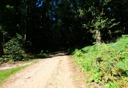 Streckenfoto bei Kilometer 3,8