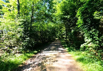 Streckenfoto bei Kilometer 4,4