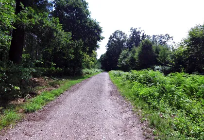 Streckenfoto bei Kilometer 23