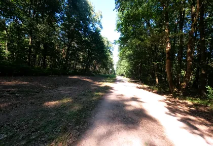 Streckenfoto bei Kilometer 24,4