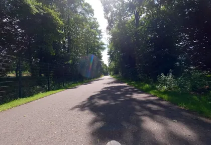 Streckenfoto bei Kilometer 37,4