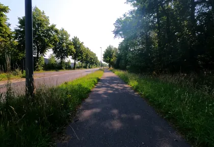 Streckenfoto bei Kilometer 55,4