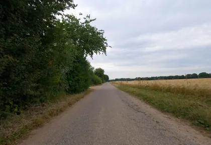 Streckenfoto bei Kilometer 29,4