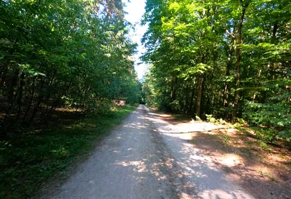 Streckenfoto bei Kilometer 25,4