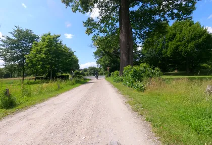 Streckenfoto bei Kilometer 50,6