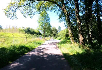Streckenfoto bei Kilometer 5,4