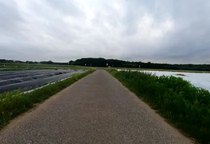Streckenfoto bei Kilometer 7,6