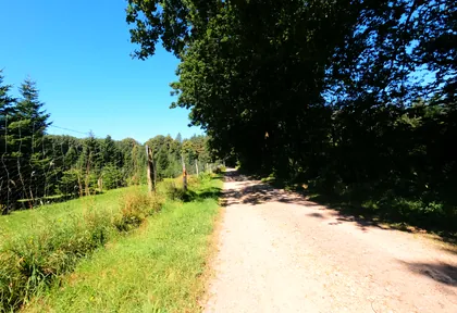 Streckenfoto bei Kilometer 2,8