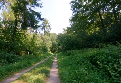Streckenfoto bei Kilometer 8,2