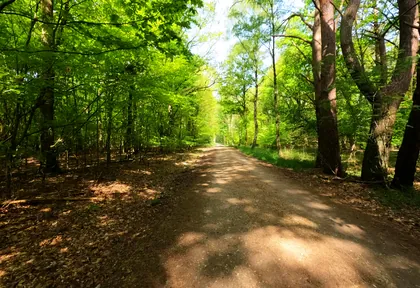 Streckenfoto der Route Wildenrath, Bäche und Mühlen