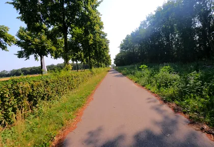 Streckenfoto bei Kilometer 53,4