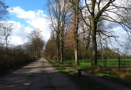 Routefoto van Winterswijk, bruggen en laan