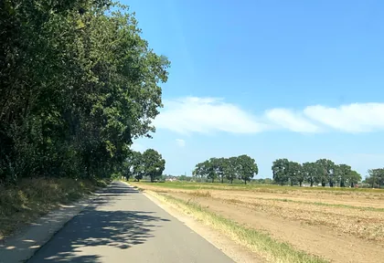 Streckenfoto bei Kilometer 7,6