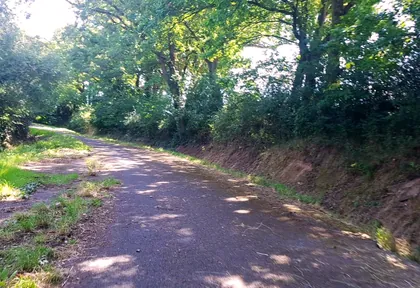 Streckenfoto bei Kilometer 22,2